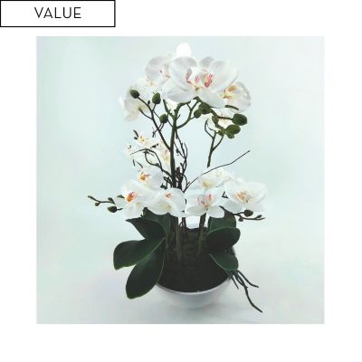 Real magic touch white orchids in white pot 43cm
