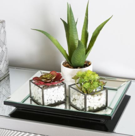 Value 33x27 Mirror Tray instore purchase