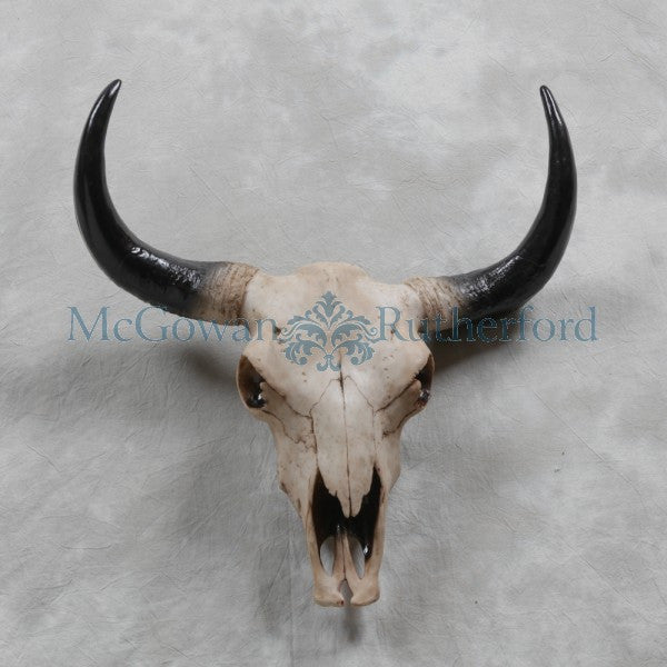 Bison wall head large