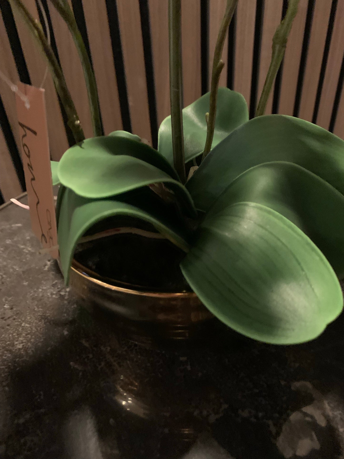 Value 35cm White Real Touch Orchid Flower in Display Gold Pot