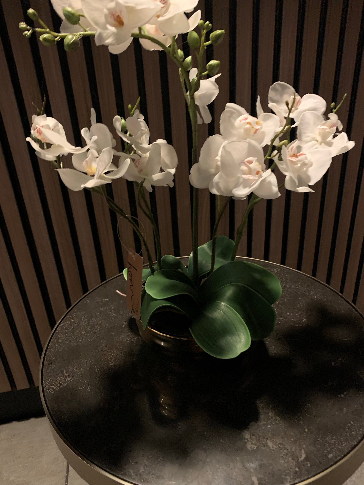Value 35cm White Real Touch Orchid Flower in Display Gold Pot
