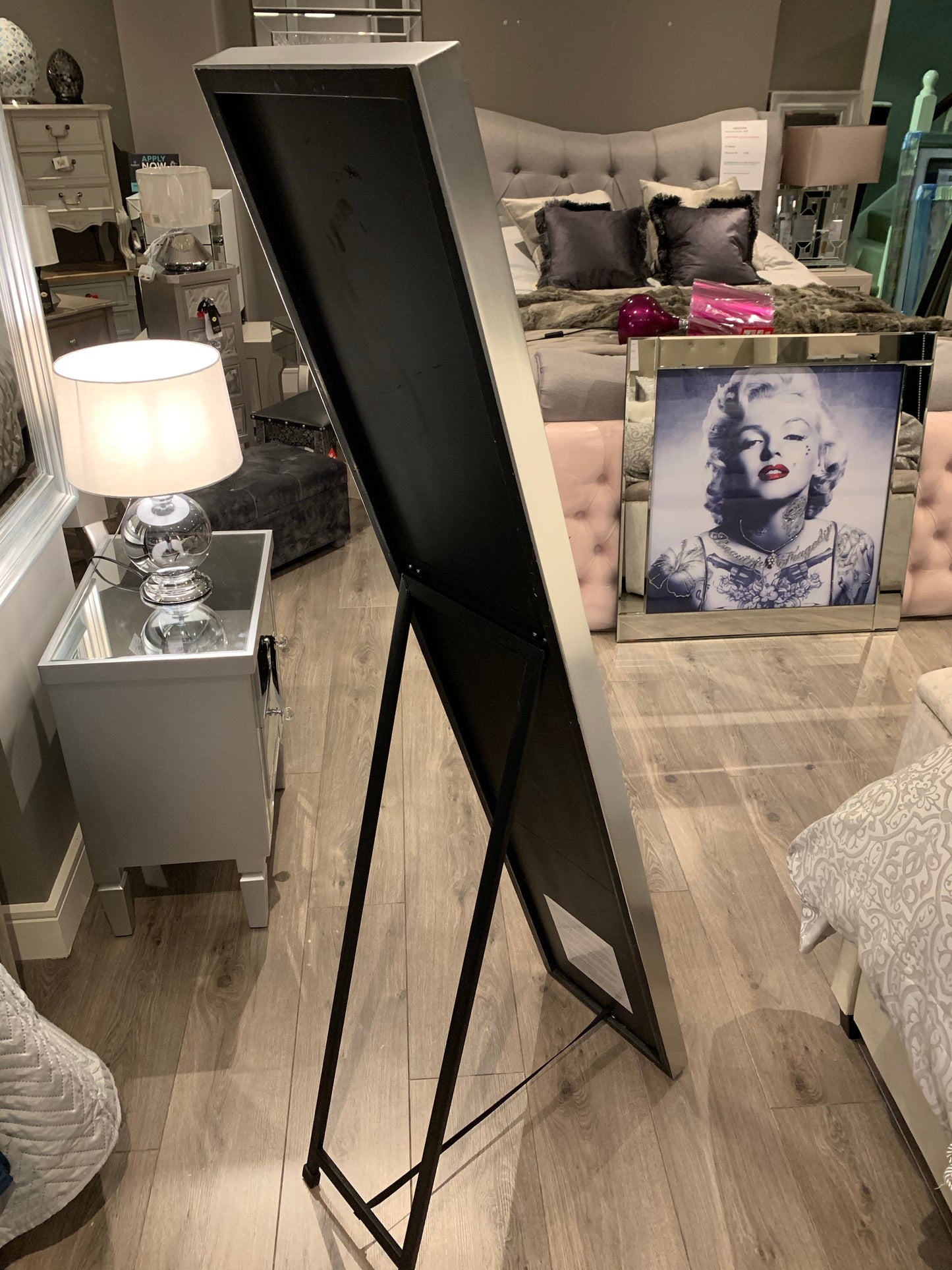 Arlene 150 cm brushed frame dressing mirror click n collect