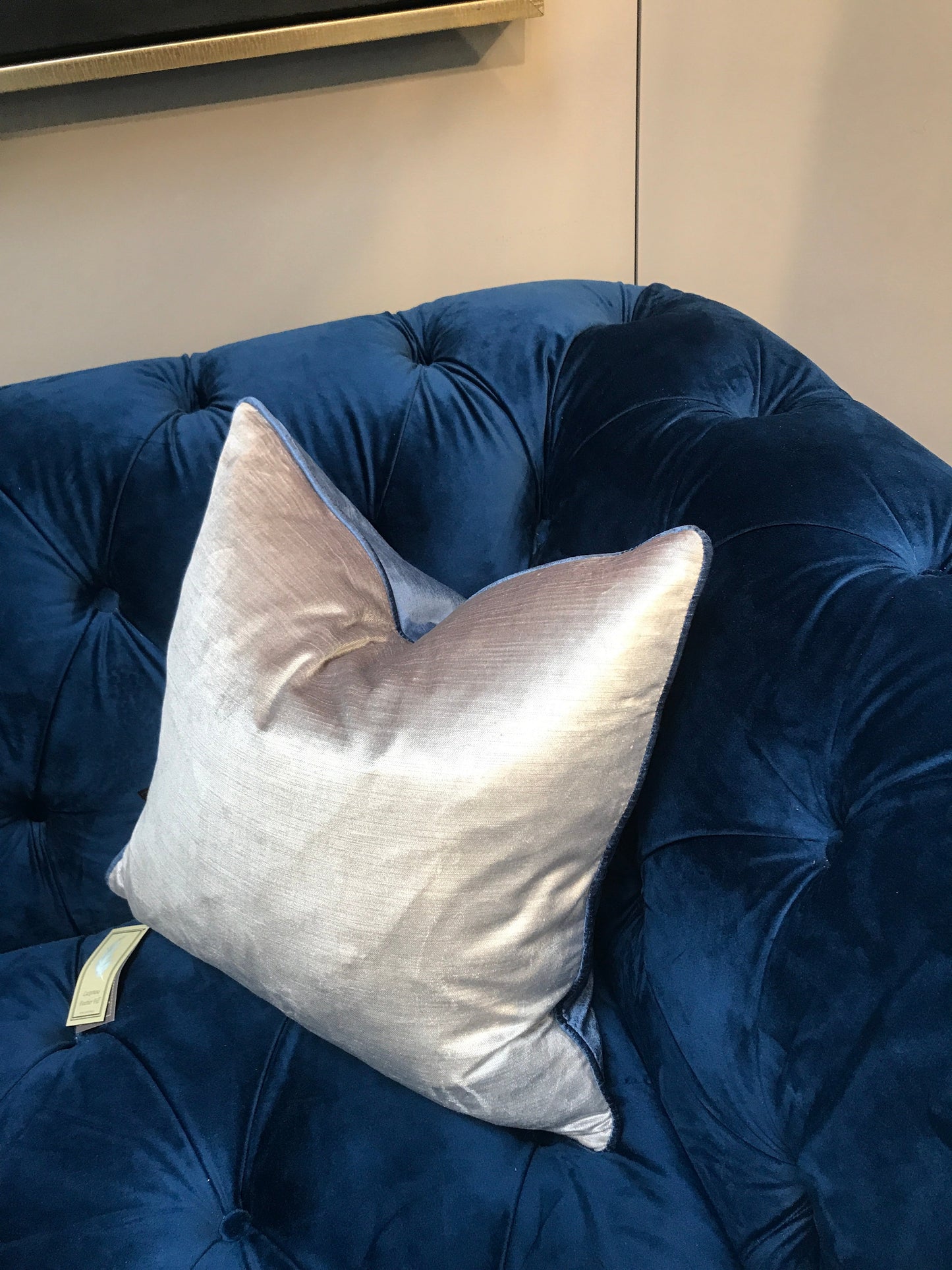Velvet Sheen Duo Cushion