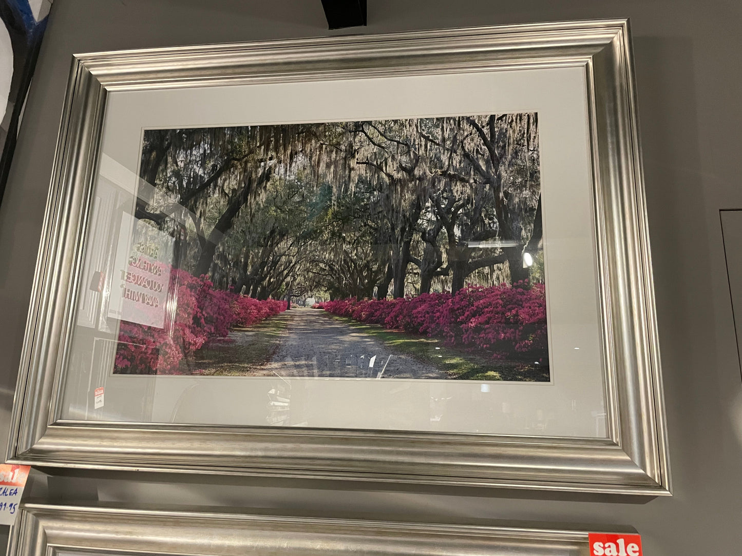 Azalea framed picture Instore Large clearance for collection