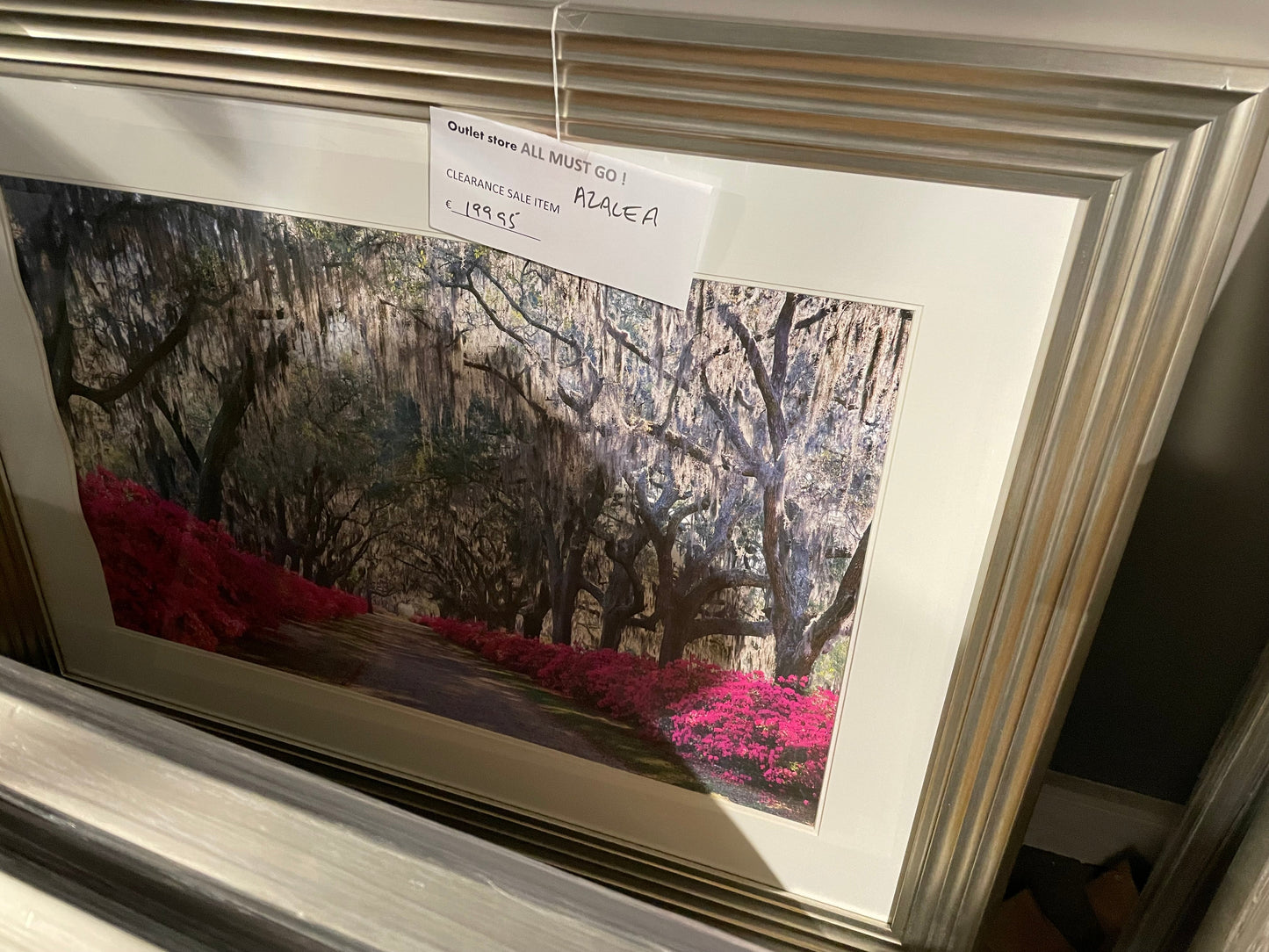 Azalea framed picture Instore Large clearance for collection