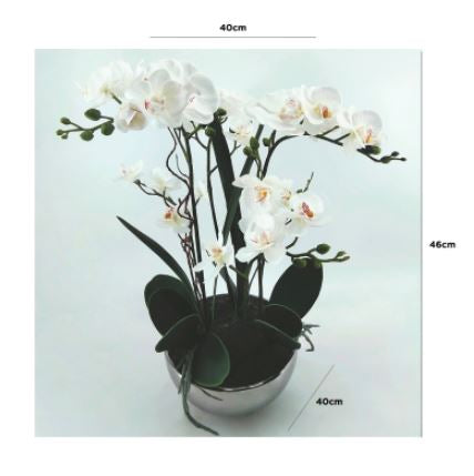 Value 46cm White Real Touch Orchid Flower in Display Pot