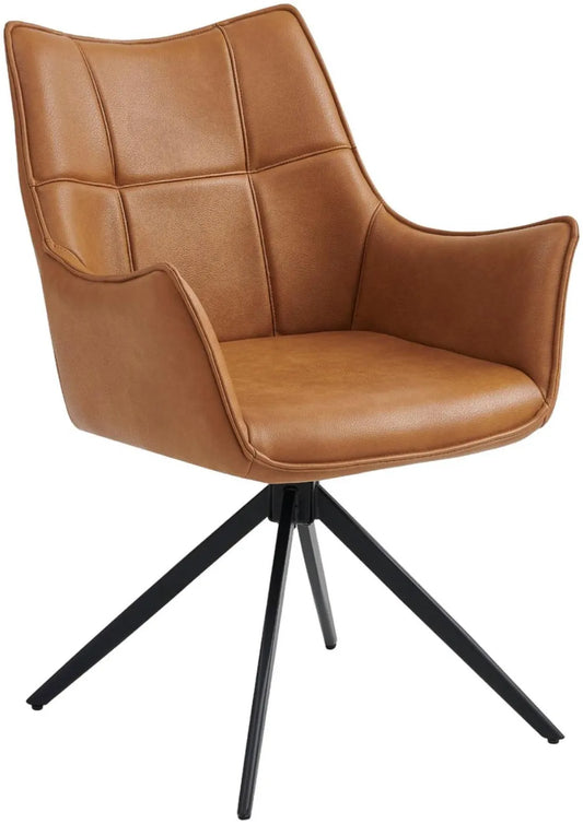 Top cat  vitality dining carver chairs