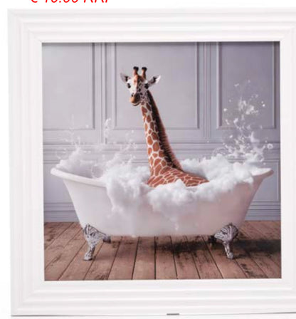 Framed pictures  various 40 x 40 cm Instore purchase