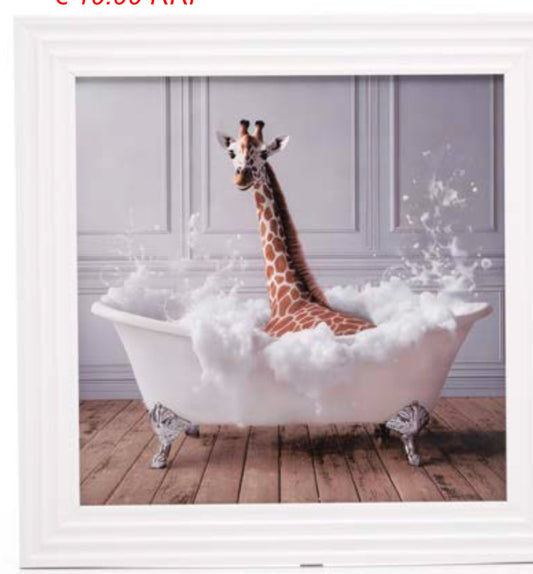 Framed pictures  various 40 x 40 cm Instore purchase