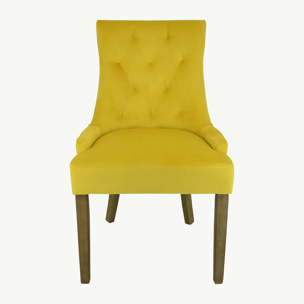 Sandy  velvet dining chairs x 2 Click n collect  light blue or mustard