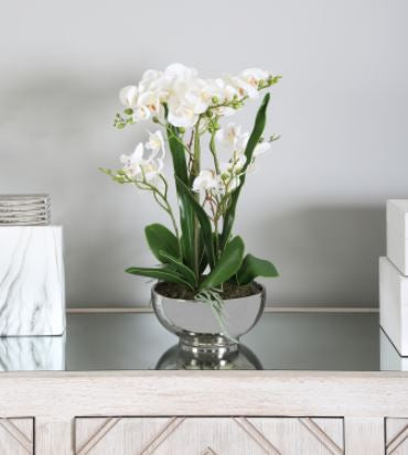 Value 46cm White Real Touch Orchid Flower in Display Pot